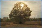 Parque Lineal del Manzanares