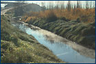 Parque Lineal del Manzanares