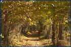 Parque Lineal del Manzanares